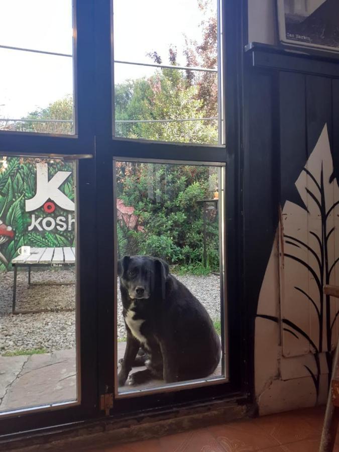 Kosh Hostel San Carlos de Bariloche Exterior photo